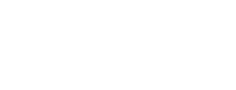 Gress-Zapp-NFZ-Logo